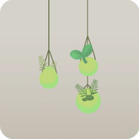 吊るされた原生林の苔たち