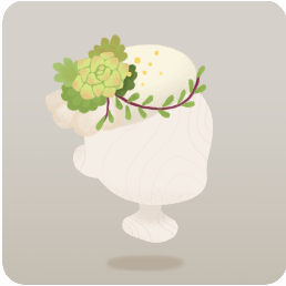 多肉植物の帽子