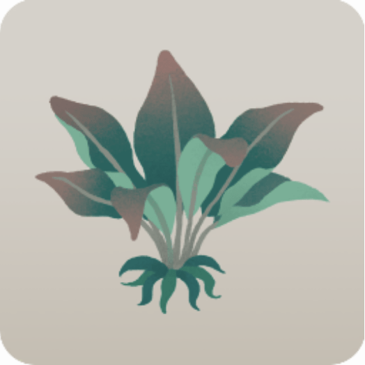 マンドレイクに似た草