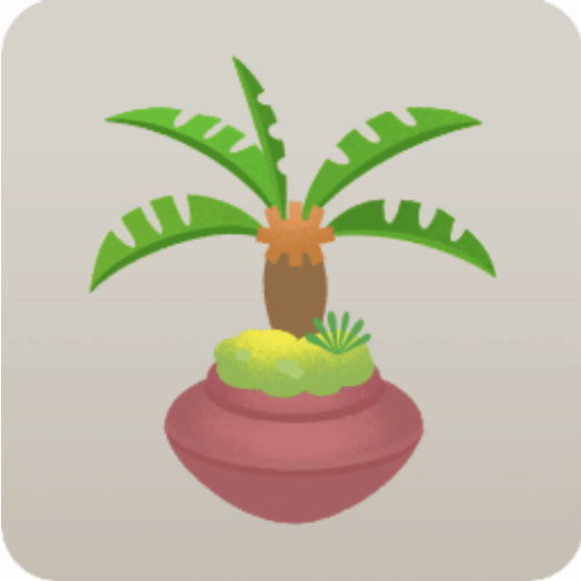 ソテツの植木鉢