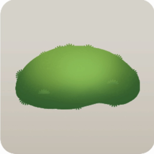 雨上がりの野原