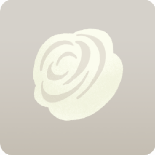 白薔薇コサージュ