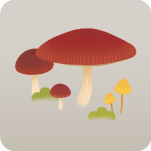 新しく飾ったきのこ