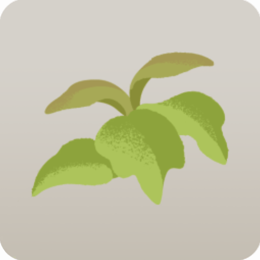 ミニ雑草・アカメガシワ