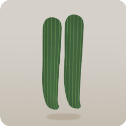 庭小人のタイツ