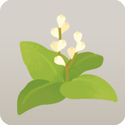 ミニ雑草・イタドリ