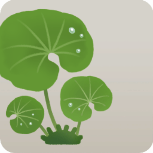 雫がついたフキ