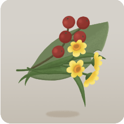 採集をした草花