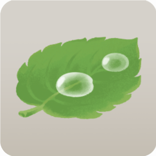 雨粒がたまった葉