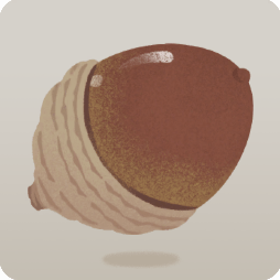 手持ちどんぐり