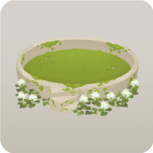 苔むしたヤエドクダミの空き地