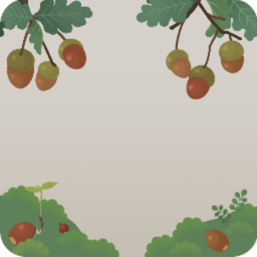 どんぐりの茂み