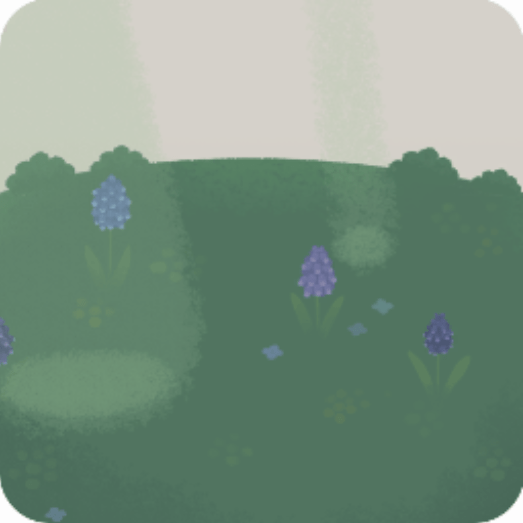 木漏れ日の差す森の地面