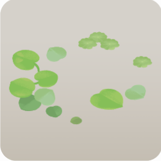 浮かぶ水草・ラグ