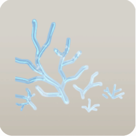 結晶化した植物