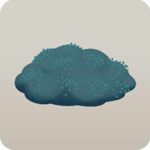 ピンクチェリーの丘