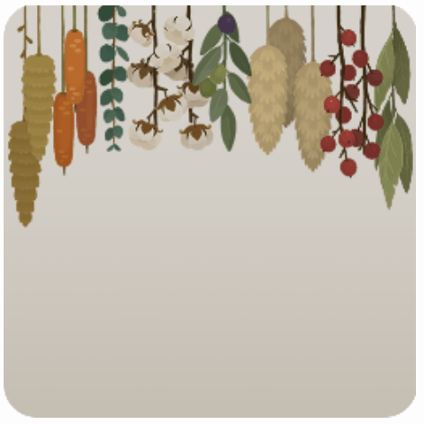 ドライフラワー