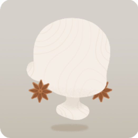 スターアニスのピアス