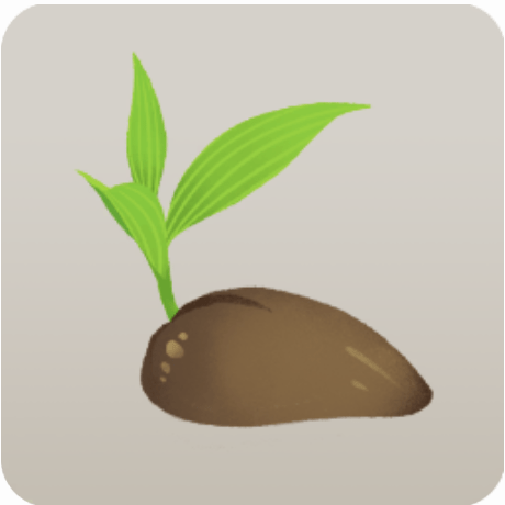 砂に埋まったココナッツ