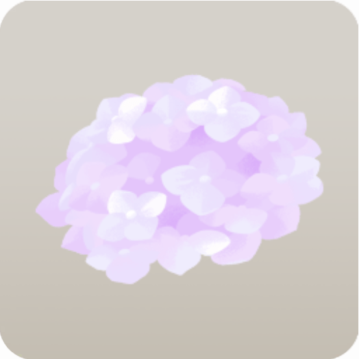 薄紫色の紫陽花