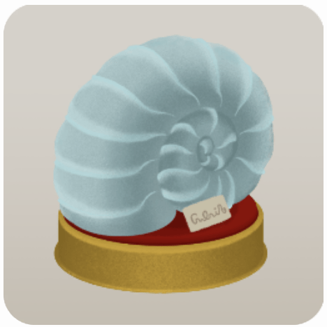 アンモナイトの化石