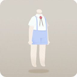 お上品なサスペンダーセット