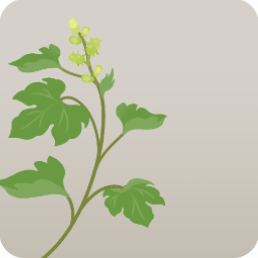 ミニ雑草・オナモミ