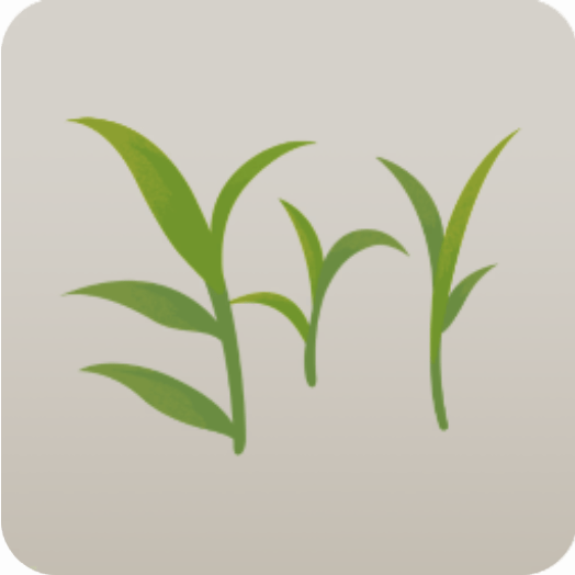 ミニ雑草・ハマスゲ