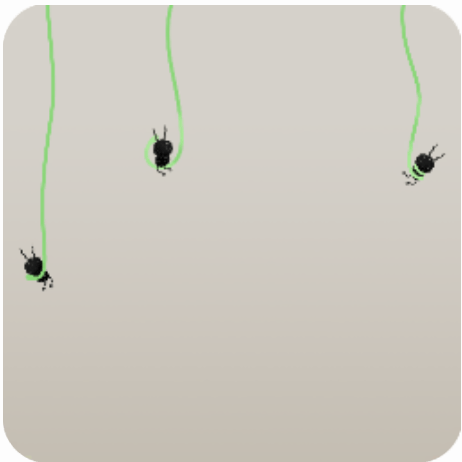 ツルに絡まるクロムシ