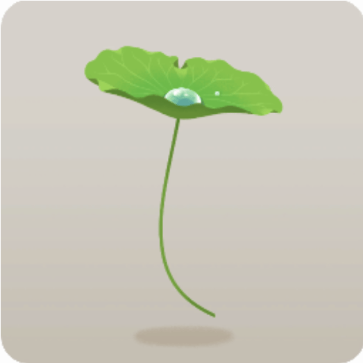 蓮の葉っぱの傘