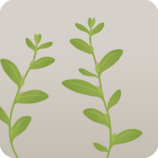 ミニ雑草・ミチヤナギ