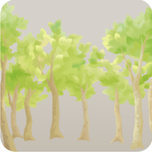 アウトドアの林