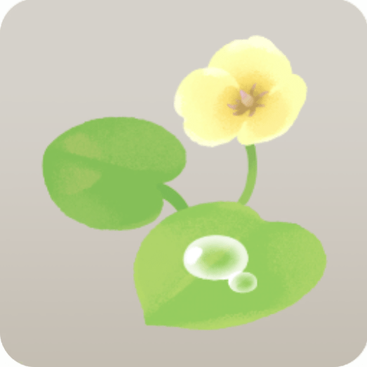 ウォーターポピーの花・左