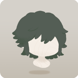 はねっ毛探検家の髪