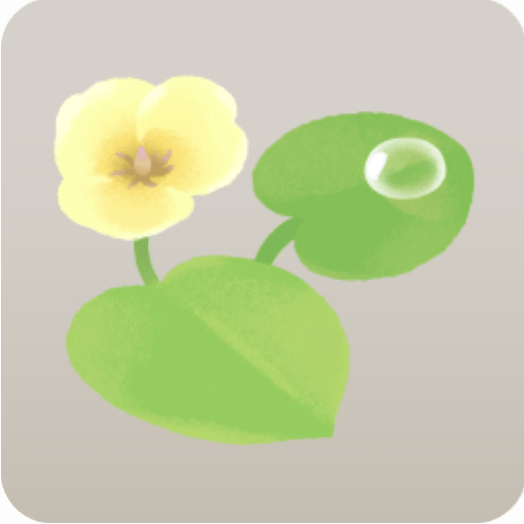 ウォーターポピーの花・右