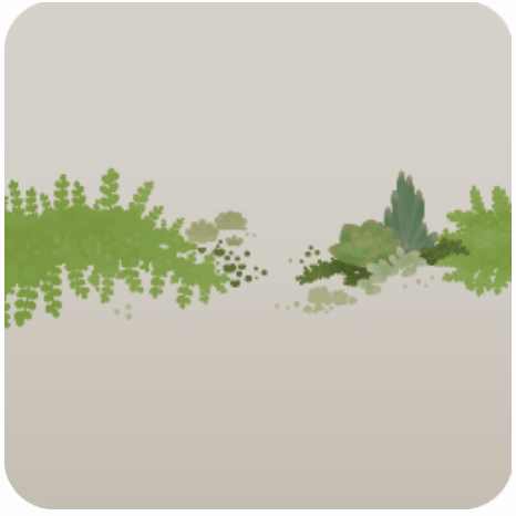 小さな多肉植物