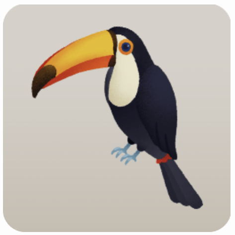 オニオオハシのミニチュア