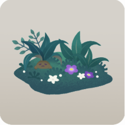 マンドレイクの群生