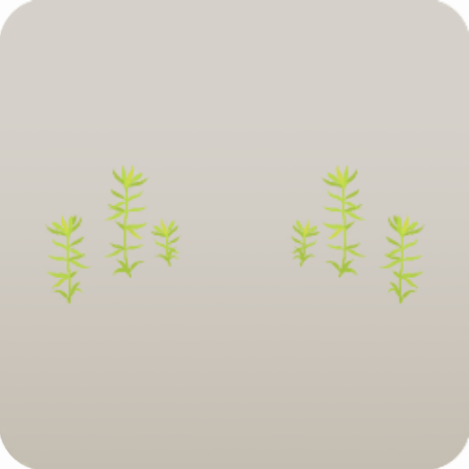 ミニ雑草・セイタカアワダチソウ