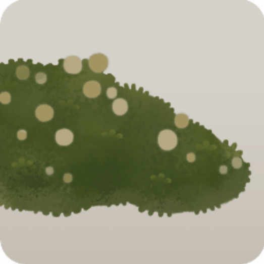 雨水を吸った苔