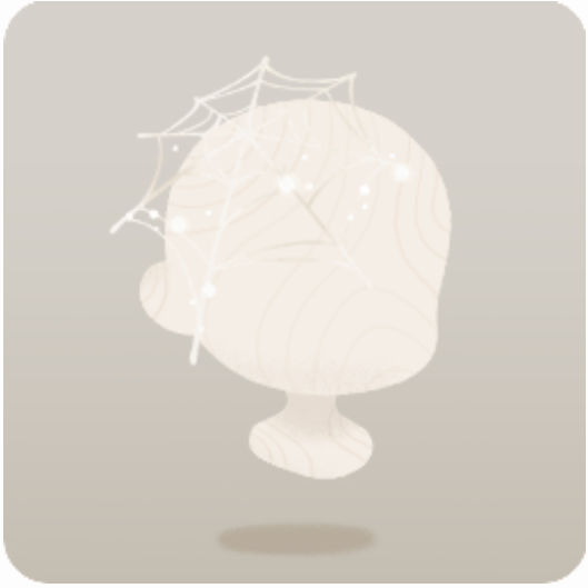 状態の良い蜘蛛の巣