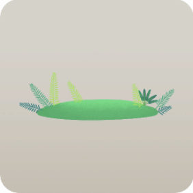 のびのび原生林の植物たち