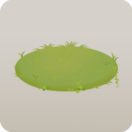 雑草が生い茂る空き地の地面