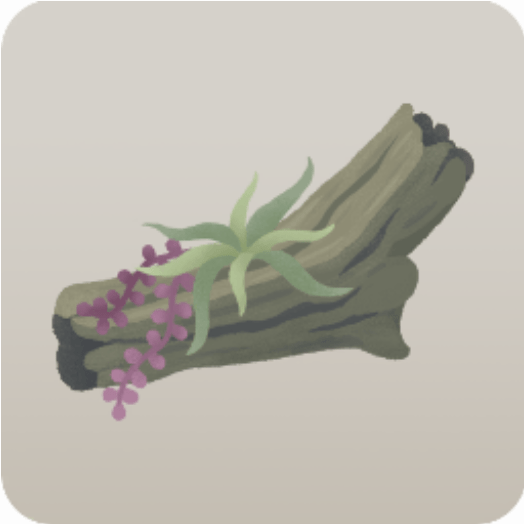 枯れ木のオブジェ