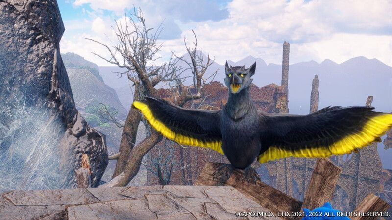 ガーゴルダの注意点