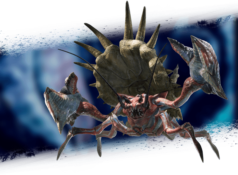 ダイミョウザザミの基本情報