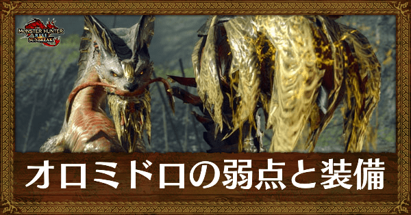 オロミドロの弱点と装備