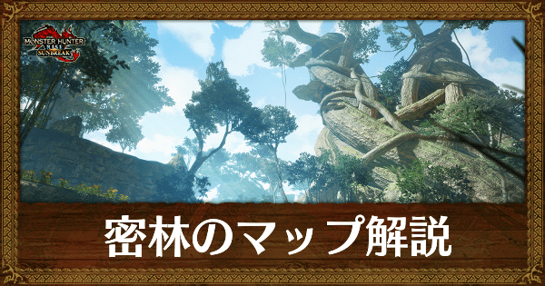 密林のサブキャンプの場所と入手素材
