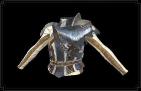 バギィ装備の胴