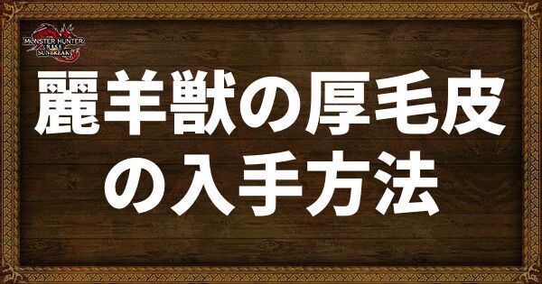 麗羊獣の厚毛皮